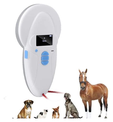 custom pet rfid chip|cat microchip rfid reader.